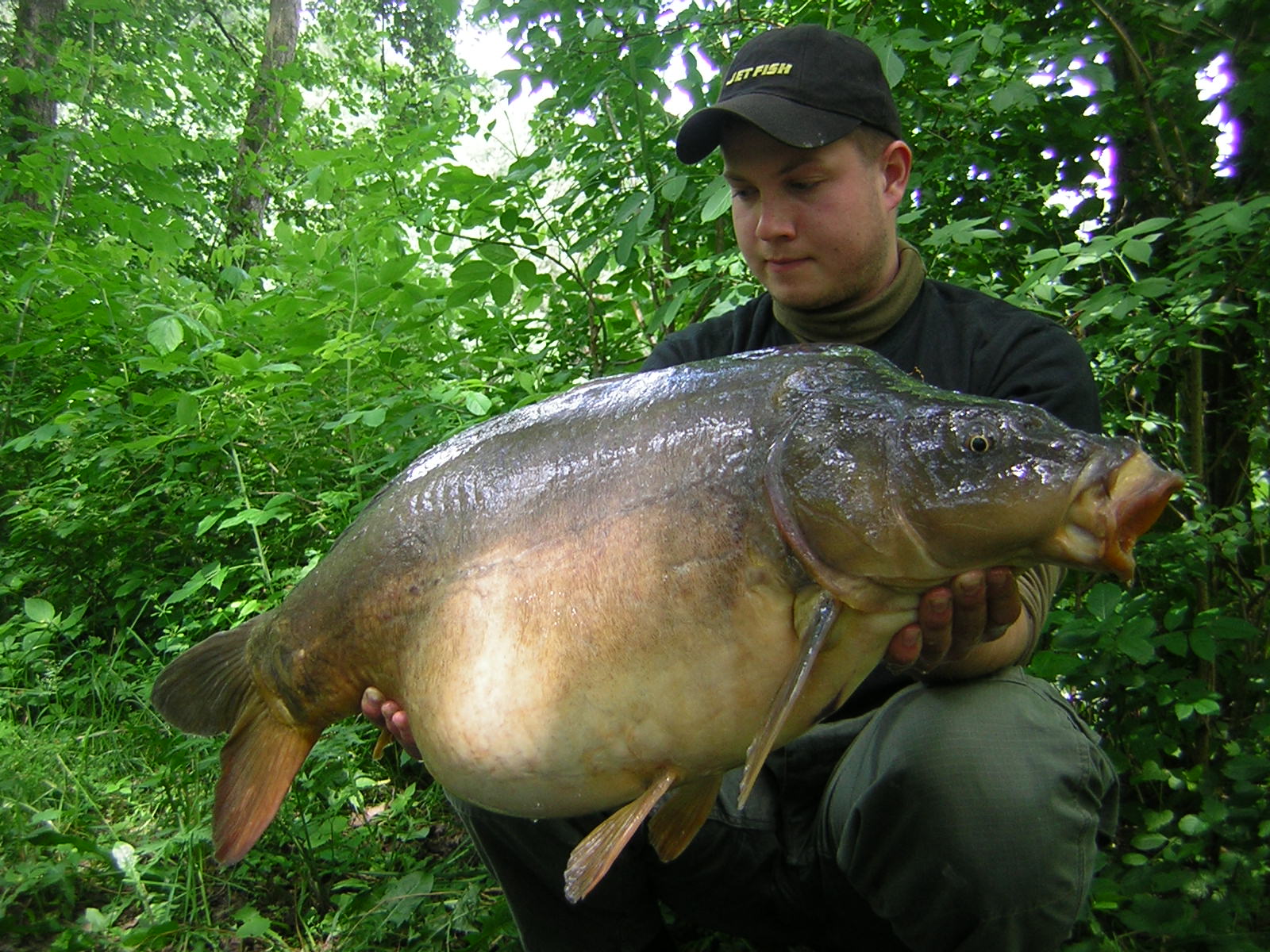 Lysec. 80cm 12,2 kg